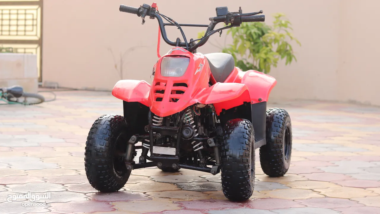 دراجة اطفال صغيرة دباب بجي bike quad buggy small bike 110cc 110cc...