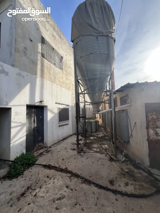 مشروع دواجن متكامل وجاهز للإنتاج – ليس مجرد أرض