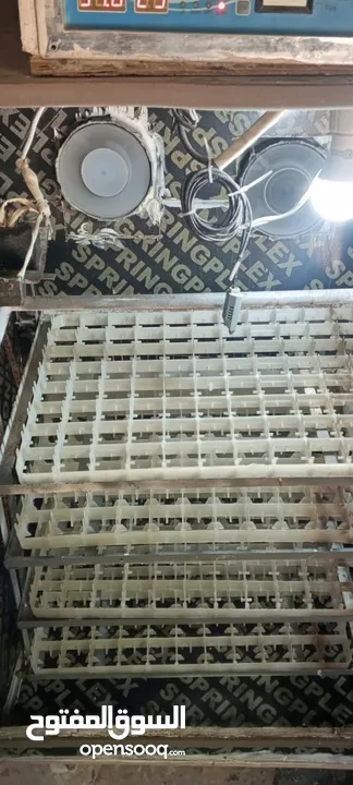 فقاسه فل اتوماتيك للبيع 352بيضه