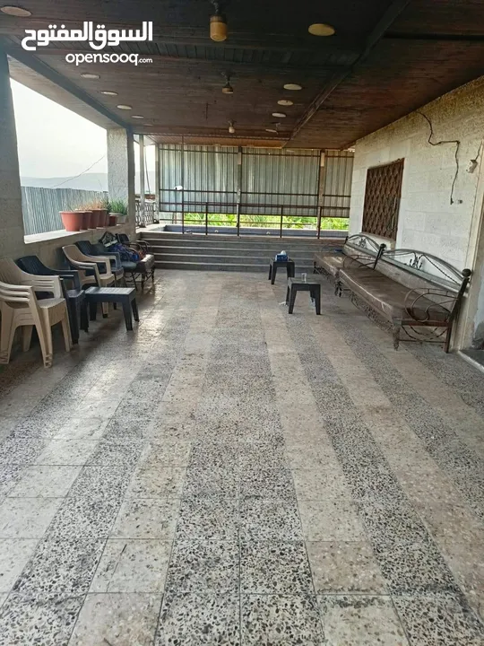 مزرعه مثمره للبيع