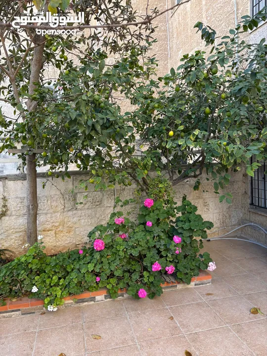 دوبلكس أرضي مميز بمساحة واسعة وحديقة خاصة في موقع استراتيجي بالقرب من شارع الجامعة الأردنية