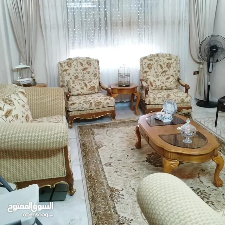 طقم شاموا أمريكي