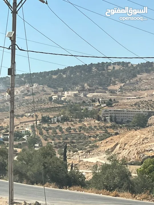 أرض 15دونم لبيع بسمر مغري خلف جامعة جرش وخلف مقام النبي هود في أشجار عمر 30سنه وبجانب شالات