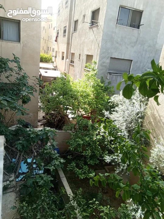 شقة مميزه للبيع بسعر مغري عين الباشا