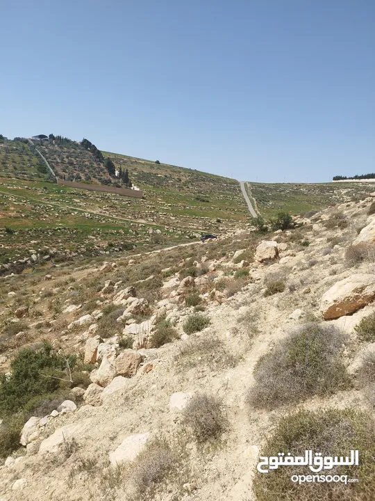 قطعة ارض للبيع بسعر مغري جدا