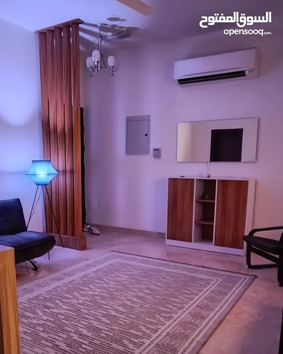 luxury 1 bhk master flat, fully furnished, daily/monthly