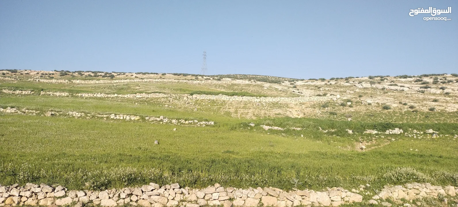زينات الربوع قرب الترخيص