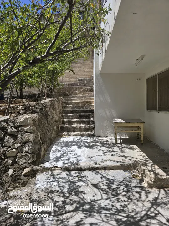 شقة صغيرة مستقلة للطالبات