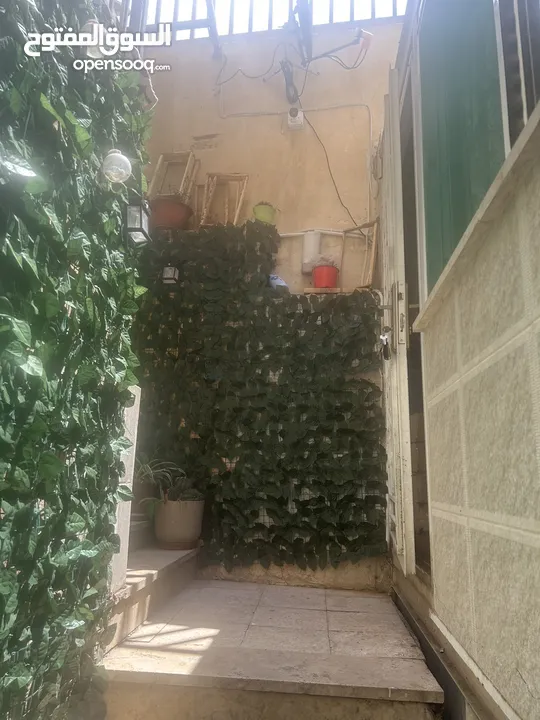 شقه فاخره للبيع  من المالك مباشره  سعر قابل للتفاوض بشيء بسيط مميزه جدا جدا  مع غرفه خارجيه و حديقه