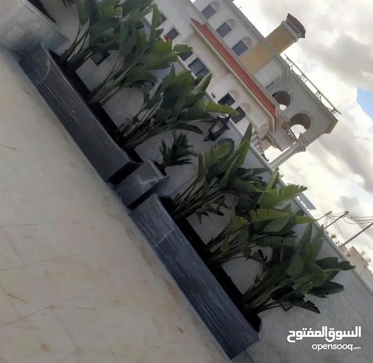 تفصيل قواوير فايبر جلاس بشكل عصري أنيق  زراعة وتسميد النباتات الداخلية والخارجية بإشراف مهندسين
