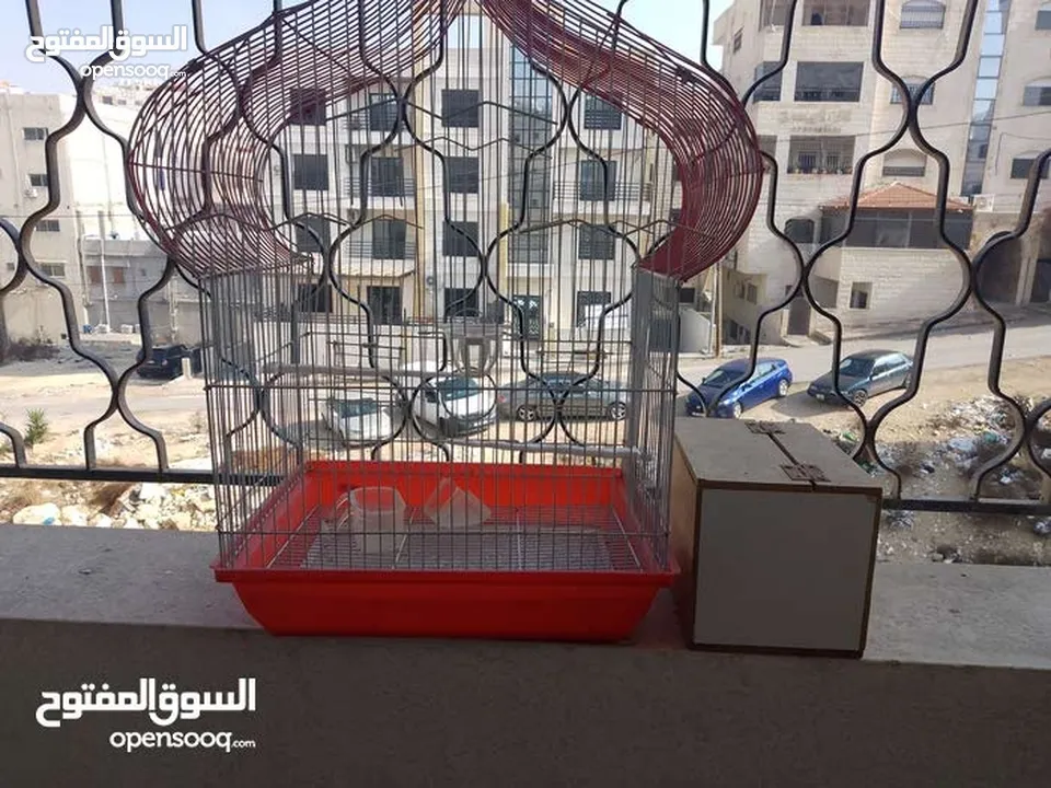 قفص عصافير مميز