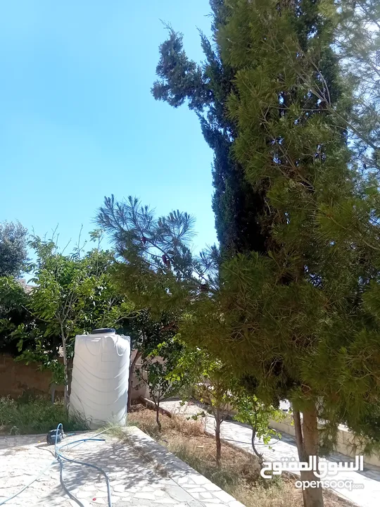 عمارة للبيع بسعر ممتاز