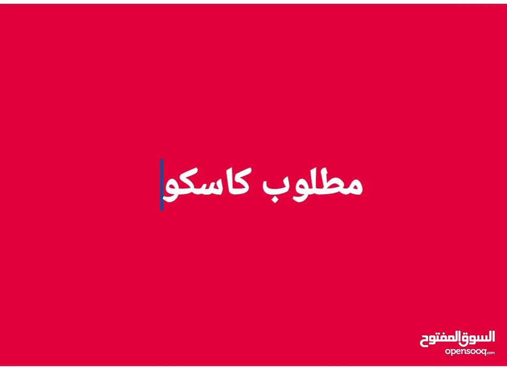 مطلوب ببغاء كاسكو