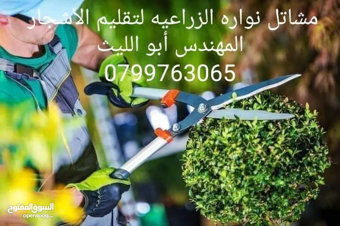 شجرنا انتاجنا