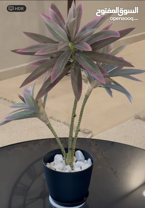 شجر ونباتات اصطناعي بطابع الطبيعي