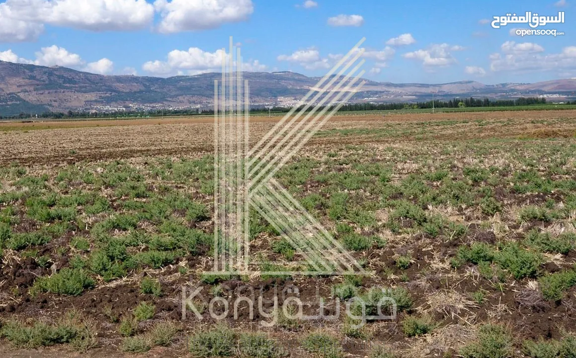 أرض 1004م سكني للبيع في رجم عميش