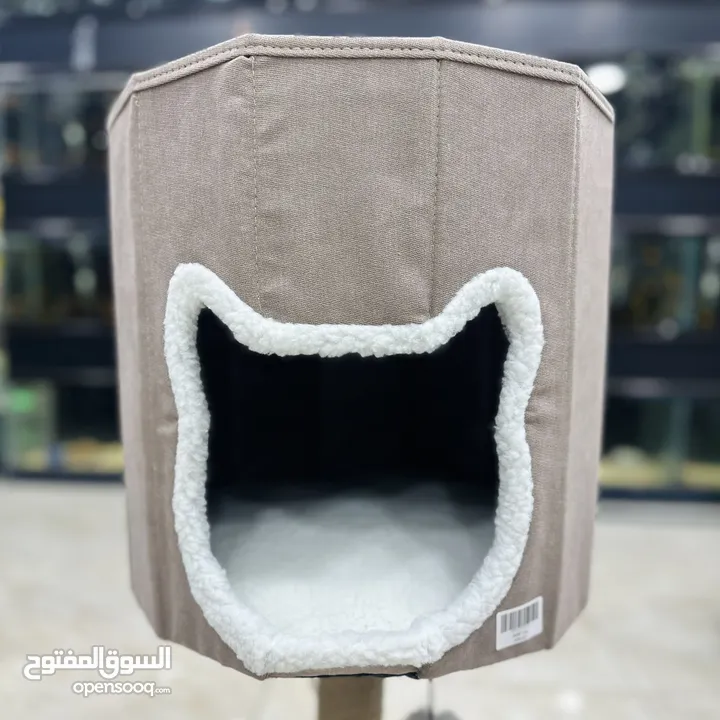 بيوت مع خداشات للقطط