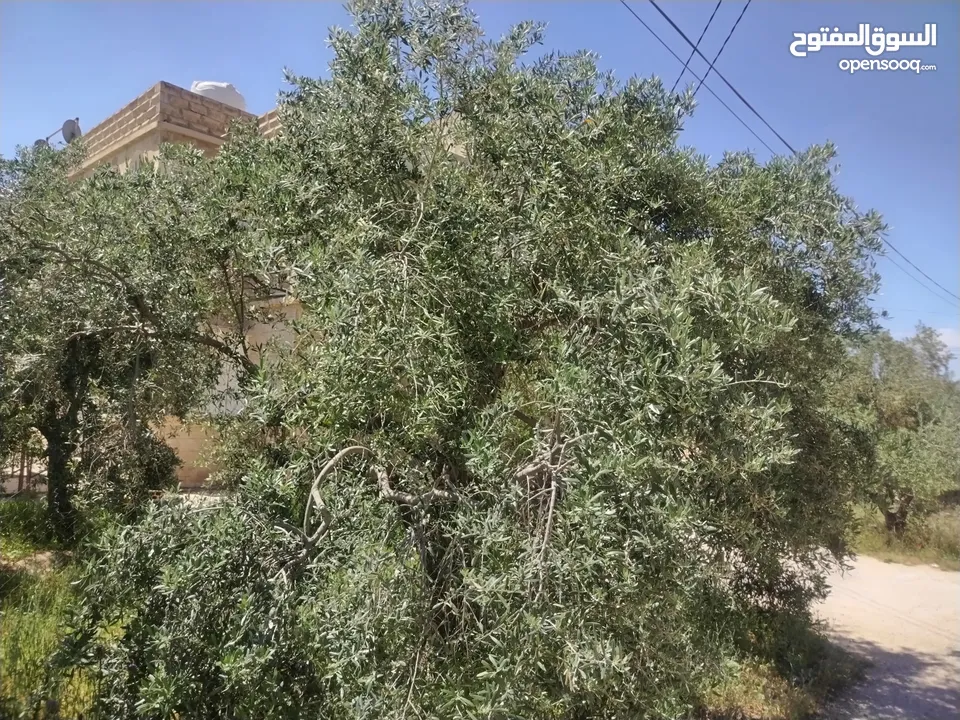 بيت طابقين للبيع