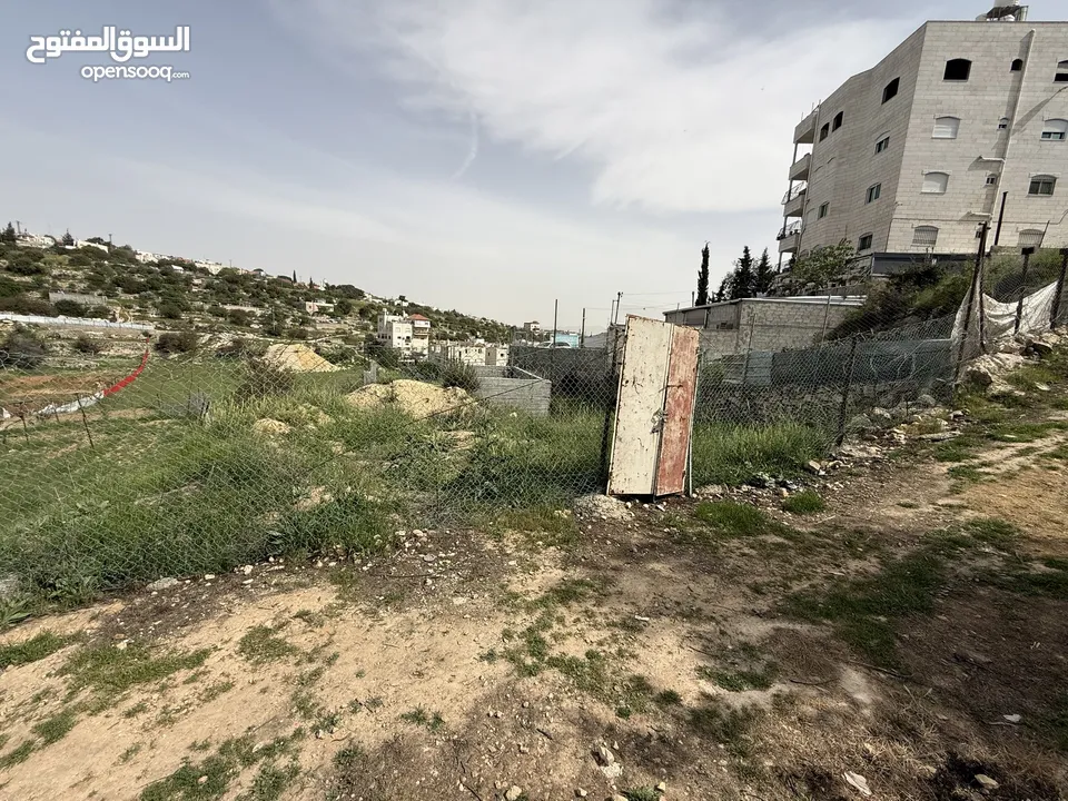 قطعة ارض للبيع في الشعابة    بسعر مغري على الكاش