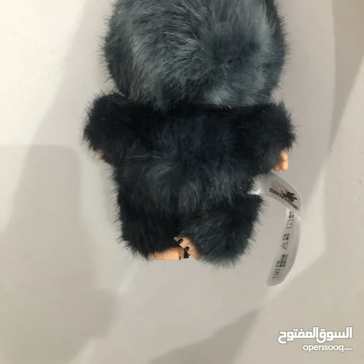 لابوبو اسود نادر