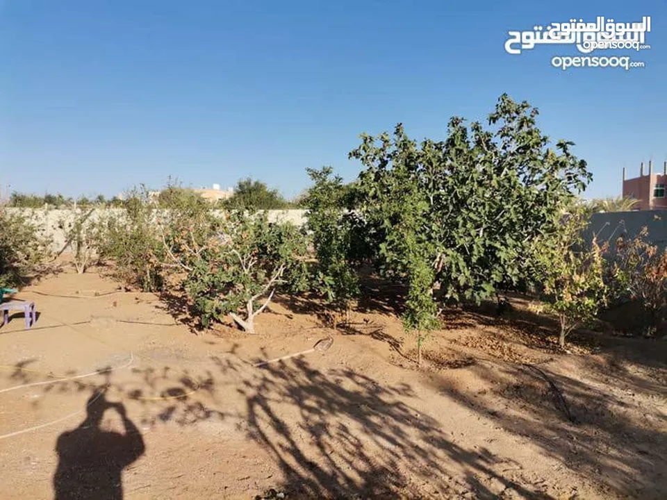 منزل مستقل للبيع مساحة 442 مكون من طابقين  الطابق الاول مستقل وشقتين الطابق الثاني كل شقه مستقله