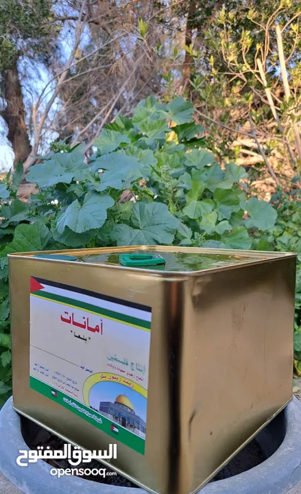 زيت زيتون فلسطيني ممتاز - Palestinian Olive Oil