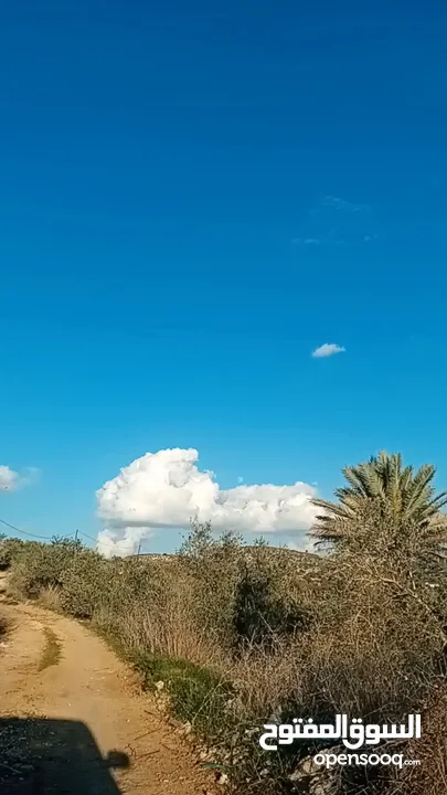 ارض للبيع مساحه 1000 متر