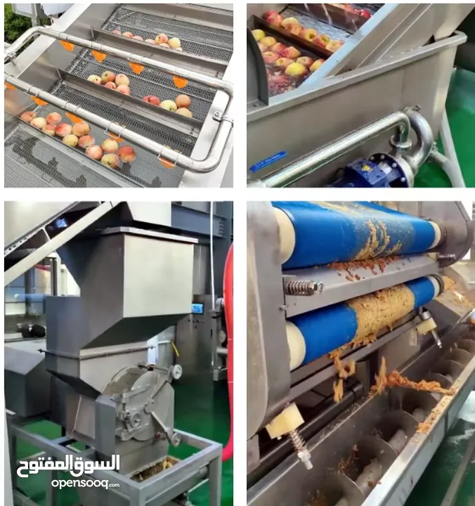 خط تنظيف وتنشيف وعصر العنب