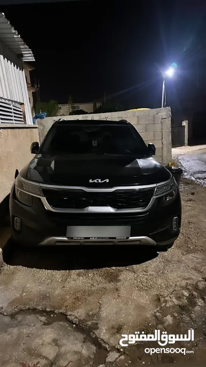 كايا سيلتوس