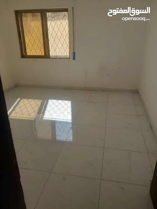 شقة للايجار