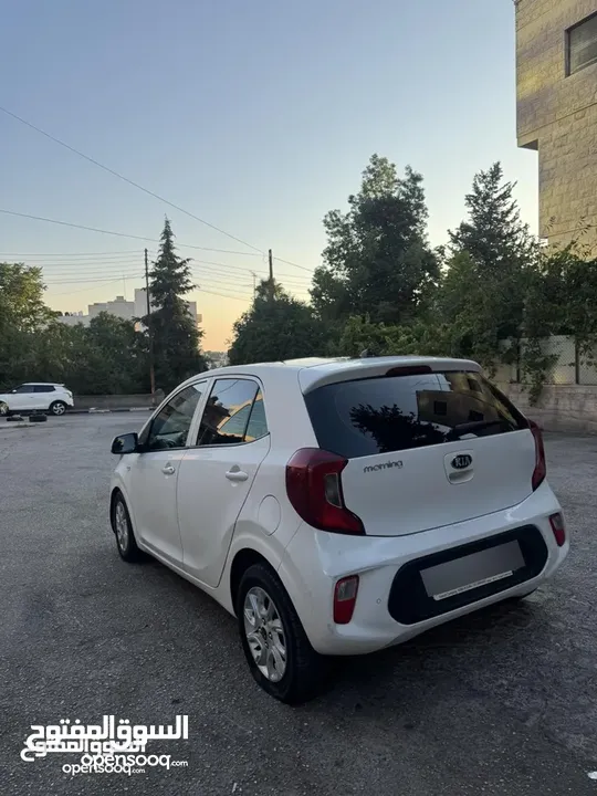 كيا مورننغ 2019 ترخيص2018