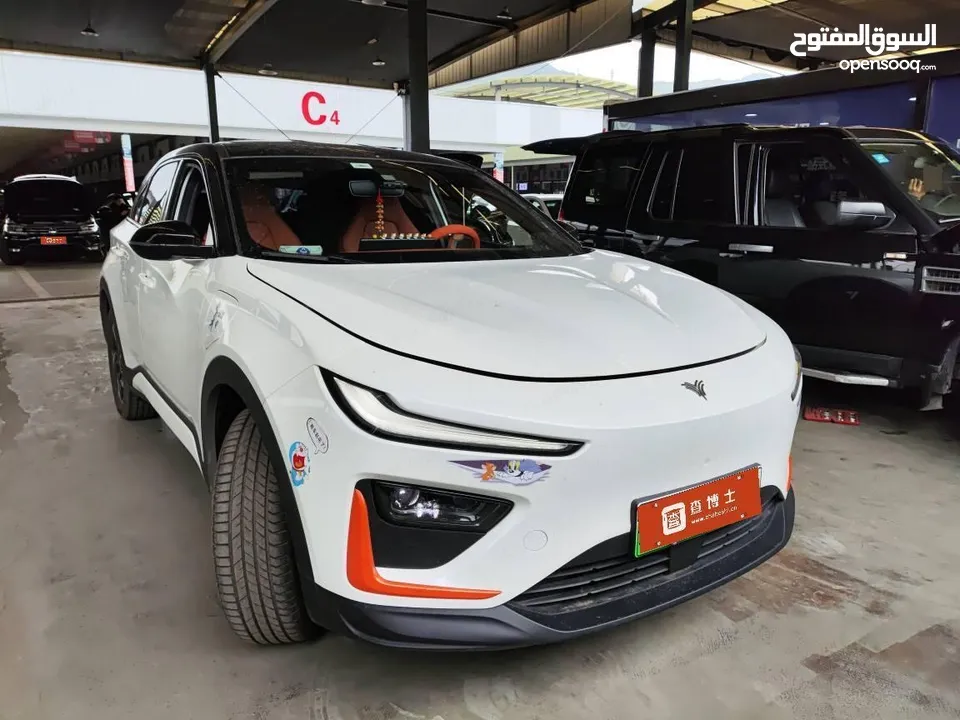 BYD SEAGULL 305km