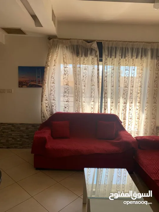 ستديو مفروشة للايجار في المدينة الرياضية 220