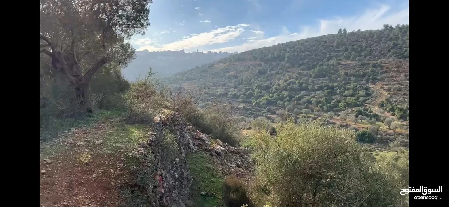 جفنا زعبوب 1355 متر على شارعين في المخطط الهيكلي حدود جفنا بيرزيت، مرتفعة ومطلة مقابل تلال بيرزيت