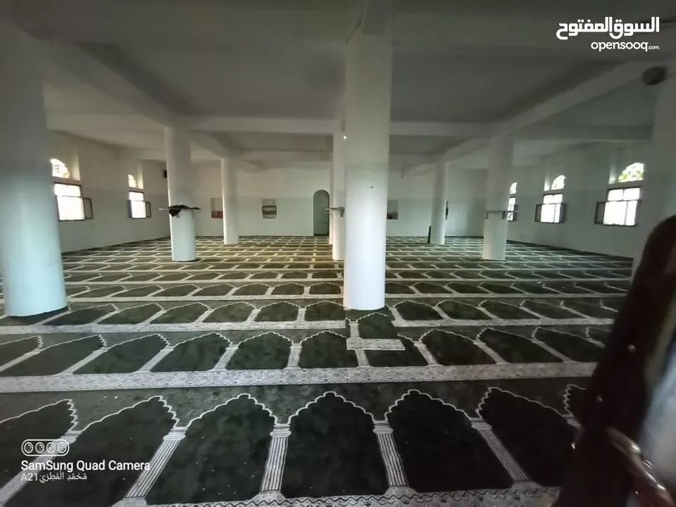 سجاد المساجد بجميع انواعها