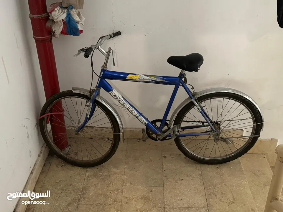 Adult Bicycle For sale