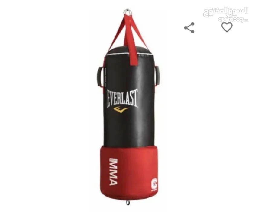 Everlast boxing bag