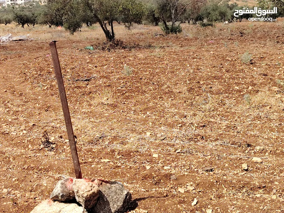 قطعة أرض بكوشان مستقل