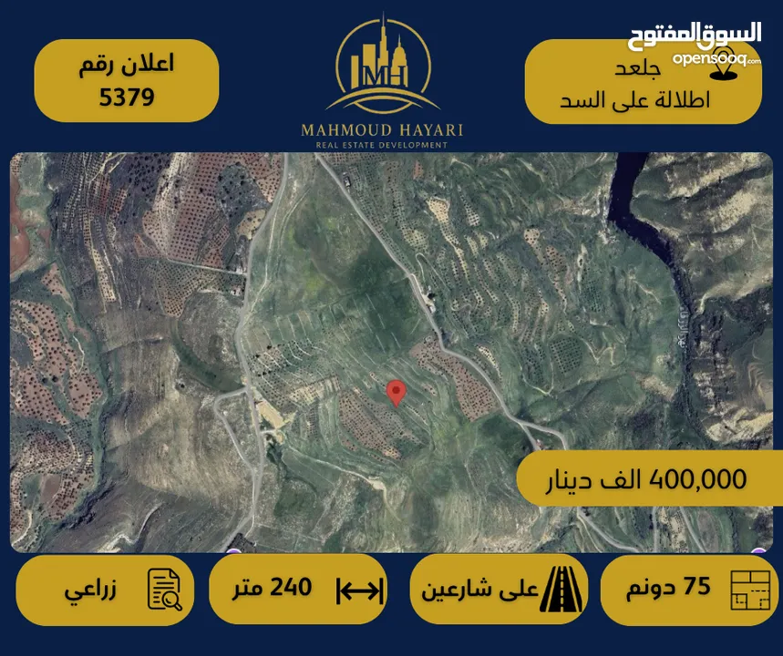 رقم الإعلان: 5379 أرض زراعية مميزة للبيع – جلعد / إطلالة مباشرة على السد