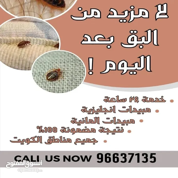 نجمة الكويت لمكافحة الحشرات