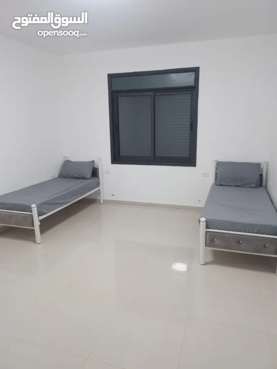 شقة مفروشة للايجار