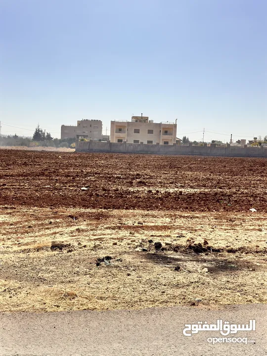 ارض مميزة بسعر مغري اليادودة الفريط