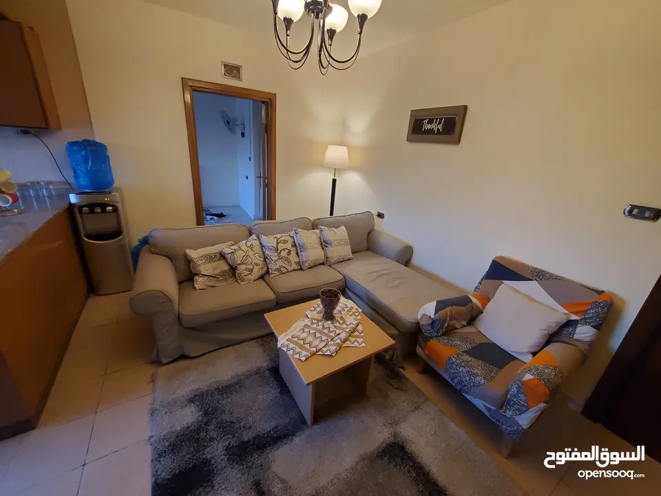 مطلوب شريك سكن لشقة مفروشة في عبدون