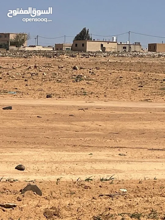 اراض سكنية متميزه للبيع في محافظة المفرق قرية الصالحية 2169م /مساحة 750م جانبها مديرية التربية