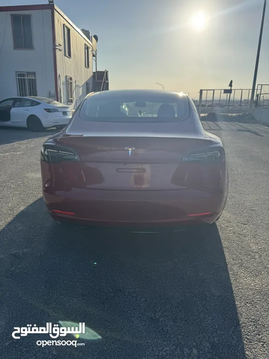 ‎‏‎‏Tesla Model 3 Standard Range Plus 2023