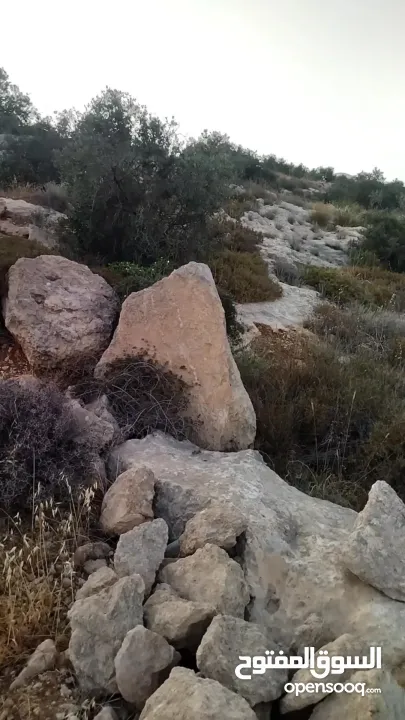 فرصة استثمارية مميزة – أرض للبيع مباشرة من المالك