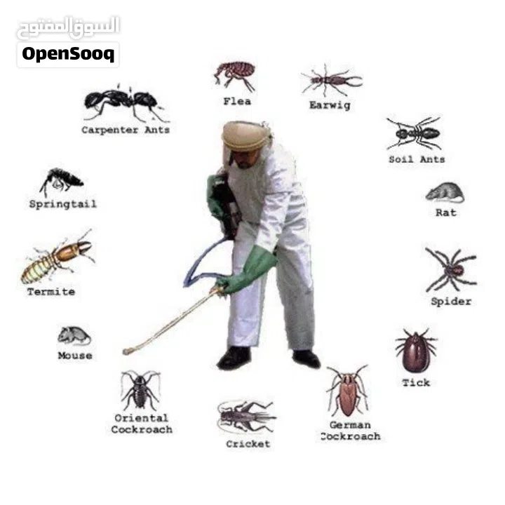 البيت الآمن لمكافحة الحشرات