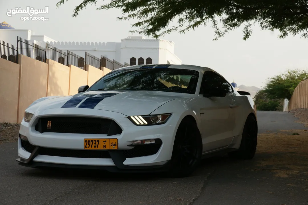 شلبي GT350 اصل نظيفة جداً قليلة الممشى