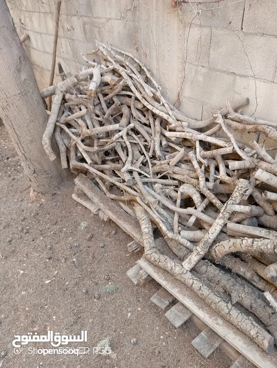 تشكيلة حطب للبيع