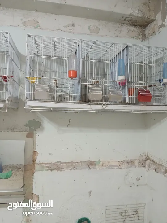 مطاير للبيع